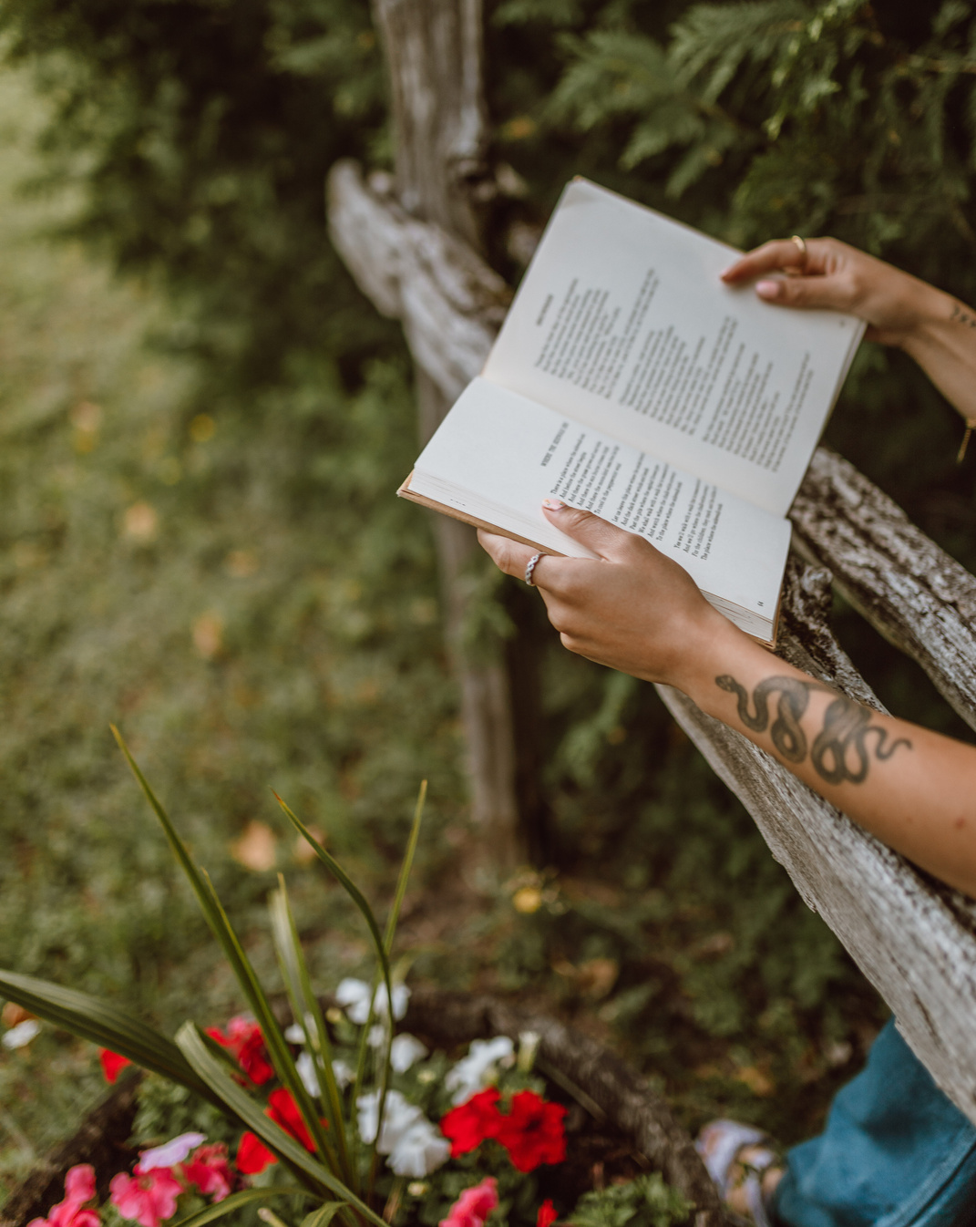 Person Reading a Book Outdoors