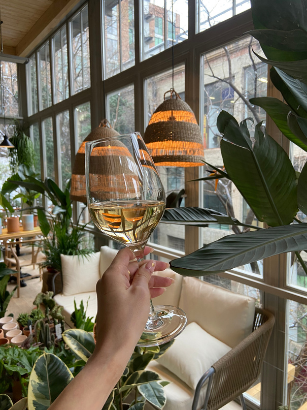Crop woman with glass of wine in room with green plants